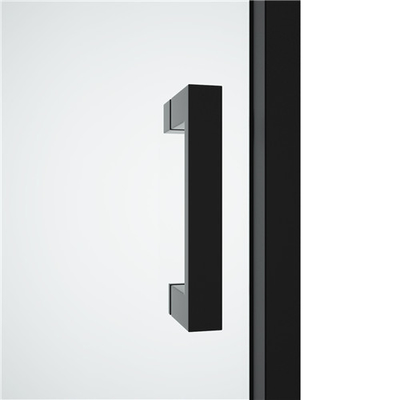 black  Stainless Sliding 6mm Tempered Glass Shower Door1200X1950mm